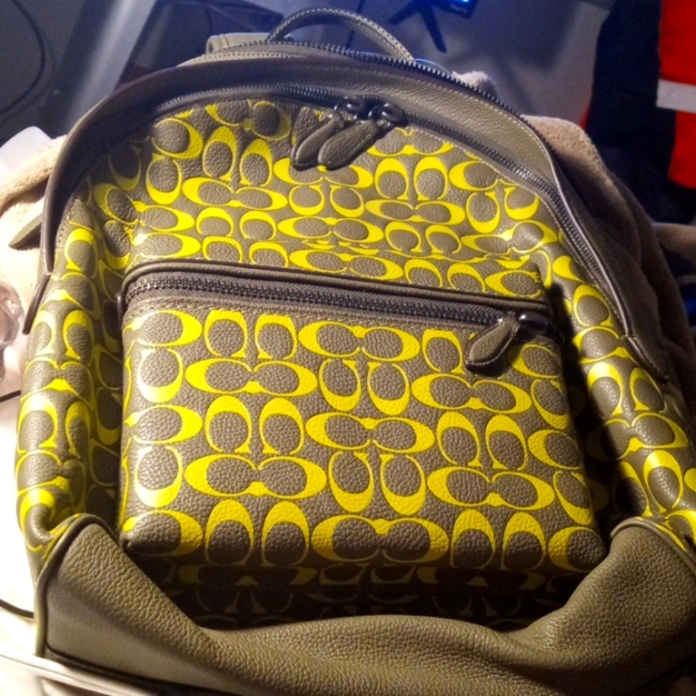 Coach leather bag